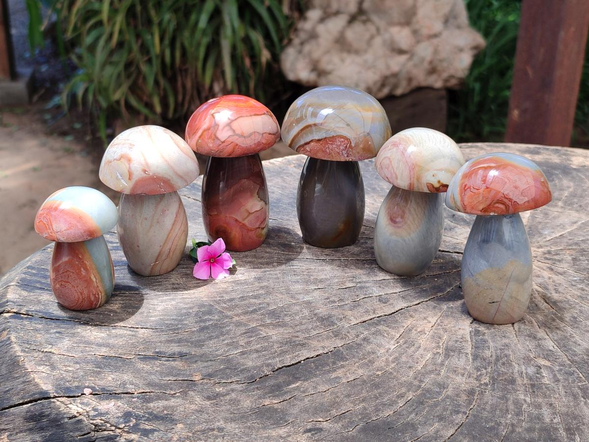 Polished Polychrome Jasper Mushrooms x 6 From NW Coast, Madagascar