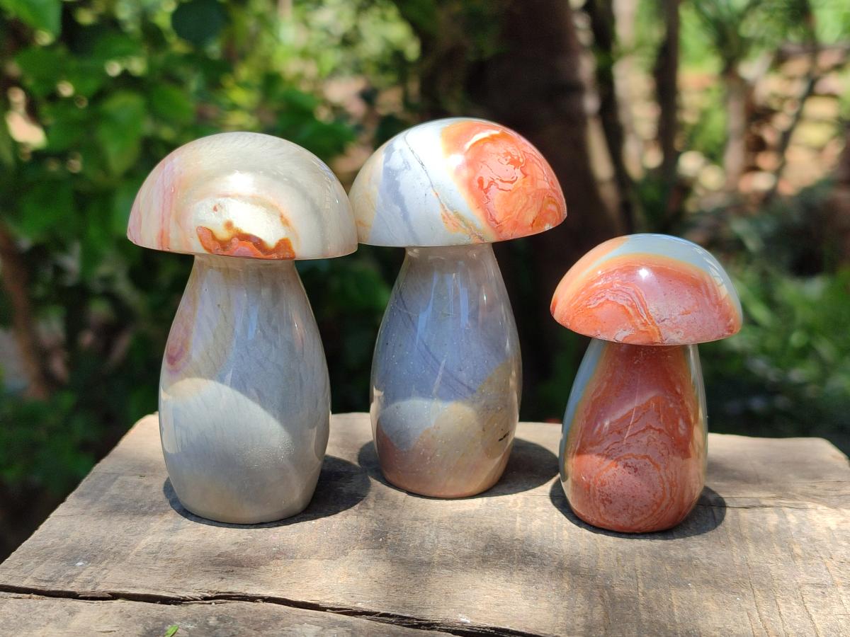 Polished Polychrome Jasper Mushrooms x 6 From NW Coast, Madagascar