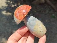 Polished Polychrome Jasper Mushrooms x 6 From NW Coast, Madagascar