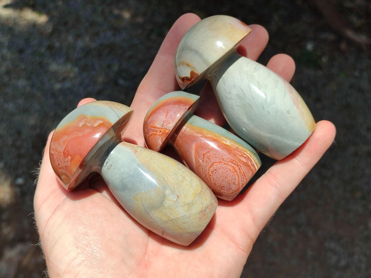 Polished Polychrome Jasper Mushrooms x 6 From NW Coast, Madagascar