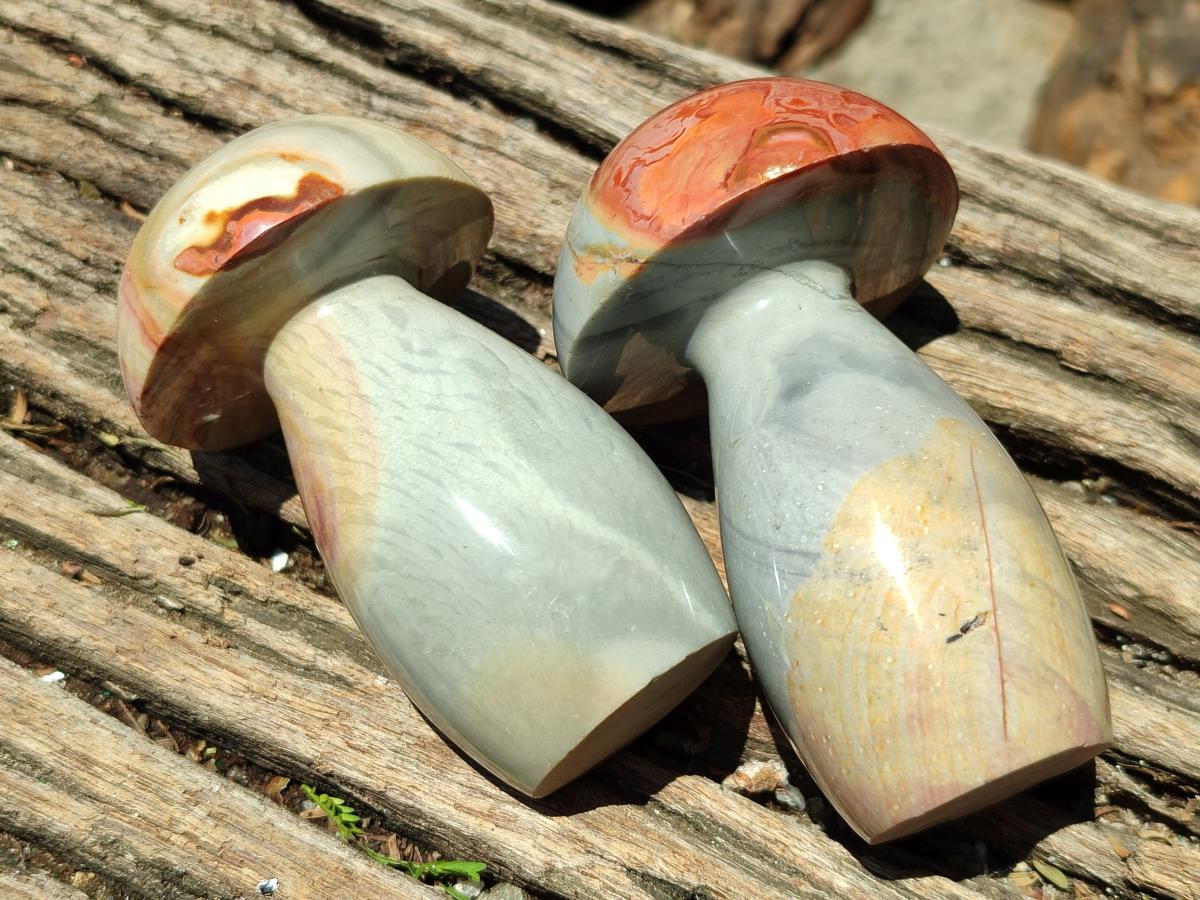 Polished Polychrome Jasper Mushrooms x 6 From NW Coast, Madagascar