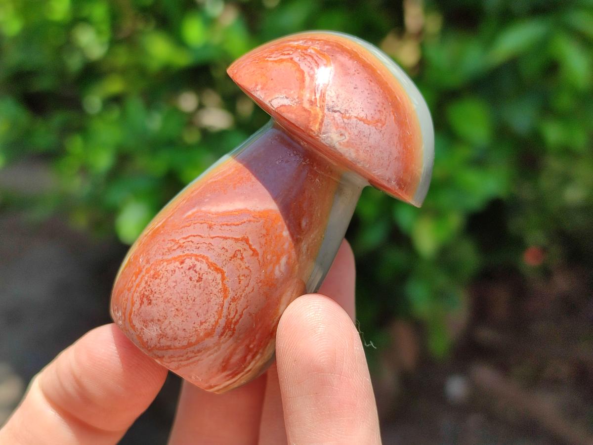 Polished Polychrome Jasper Mushrooms x 6 From NW Coast, Madagascar