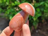 Polished Polychrome Jasper Mushrooms x 6 From NW Coast, Madagascar