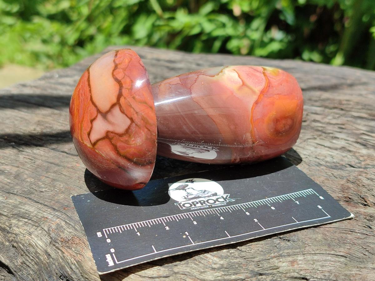 Polished Polychrome Jasper Mushrooms x 6 From NW Coast, Madagascar