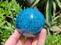 Hand Made Conglomerate Chrysocolla Spheres With Azurite And Malachite x 2 From Congo