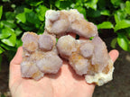 Natural Lilac Amethyst Spirit Quartz Clusters x 6 From Boekenhouthoek, South Africa