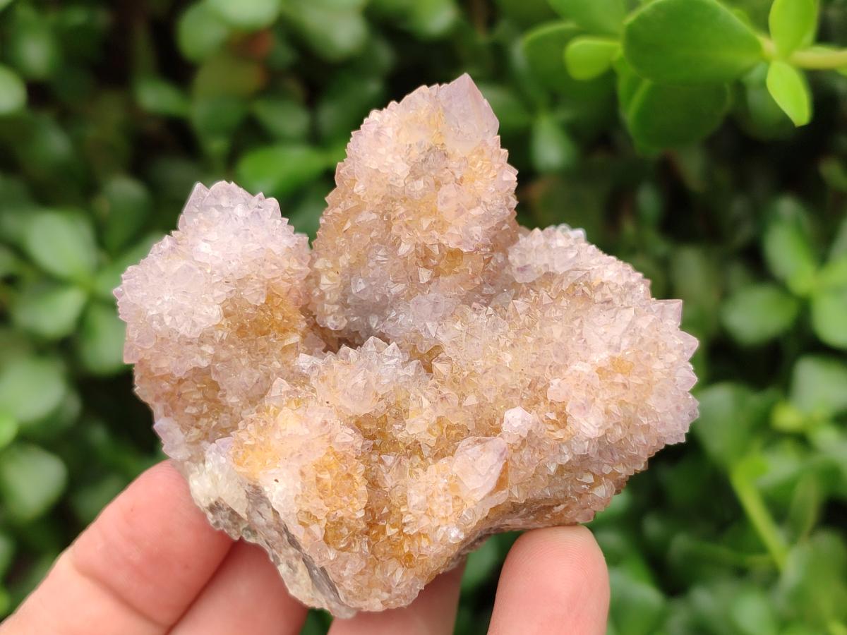 Natural Lilac Amethyst Spirit Quartz Clusters x 6 From Boekenhouthoek, South Africa