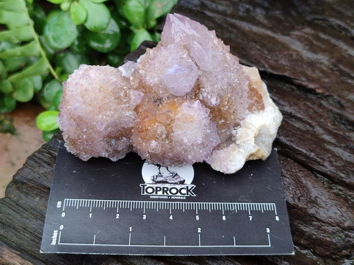 Natural Lilac Amethyst Spirit Quartz Clusters x 6 From Boekenhouthoek, South Africa