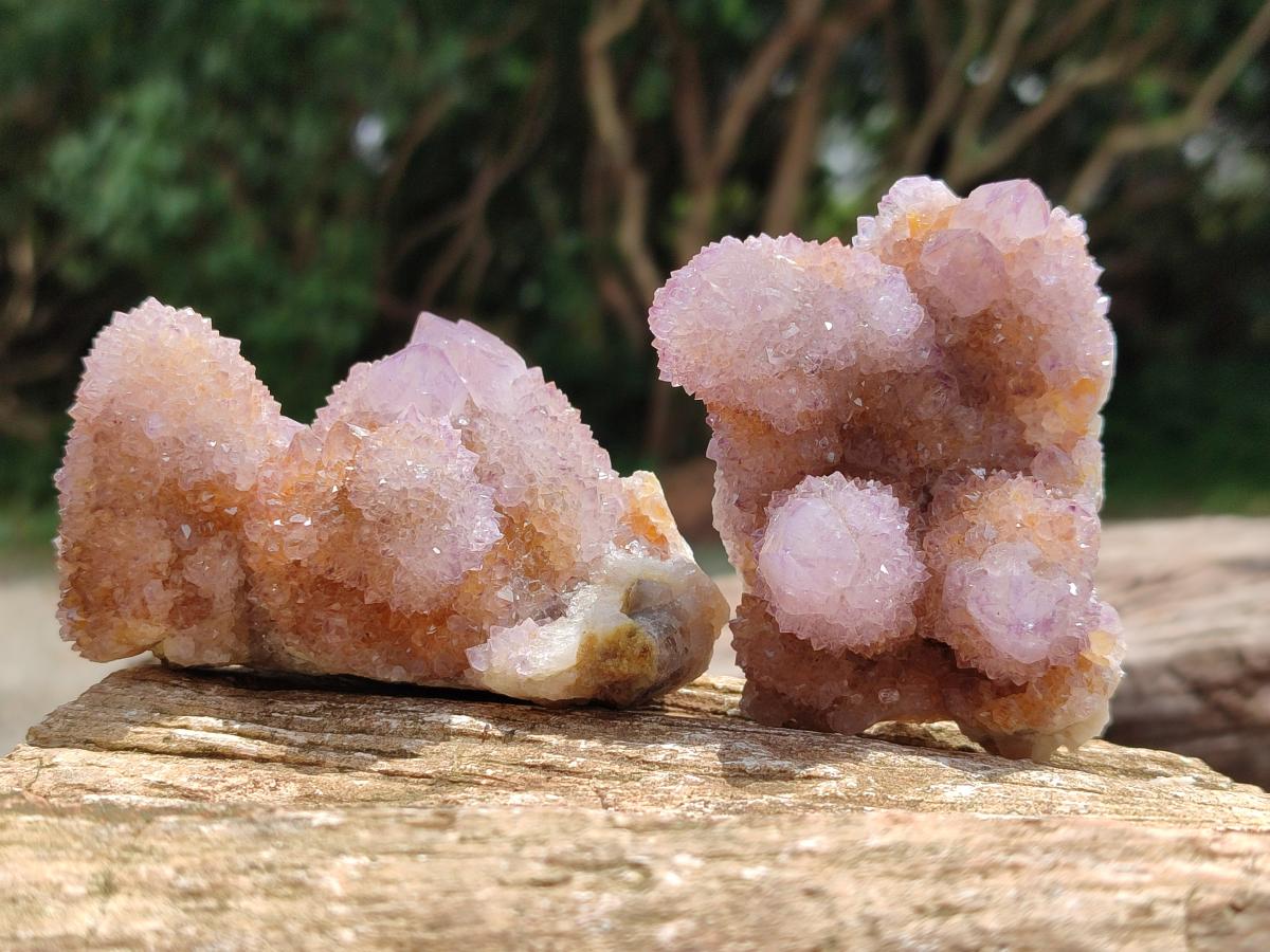 Natural Lilac Amethyst Spirit Quartz Clusters x 6 From Boekenhouthoek, South Africa
