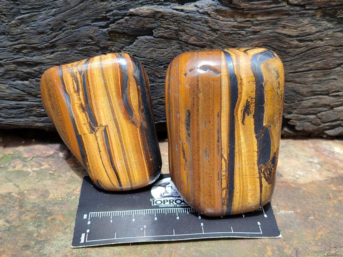 Polished Jumbo Golden Tigers Eye With Banded Iron Stone Free Forms x 6 From Prieska, South Africa