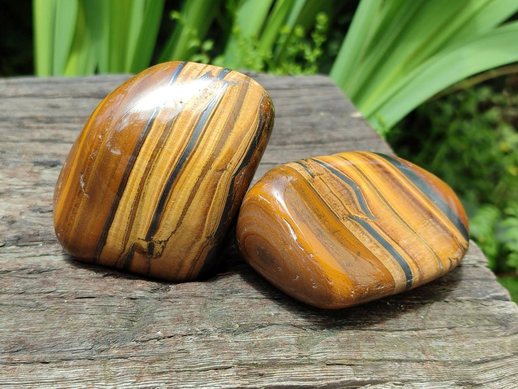 Polished Jumbo Golden Tigers Eye With Banded Iron Stone Free Forms x 6 From Prieska, South Africa
