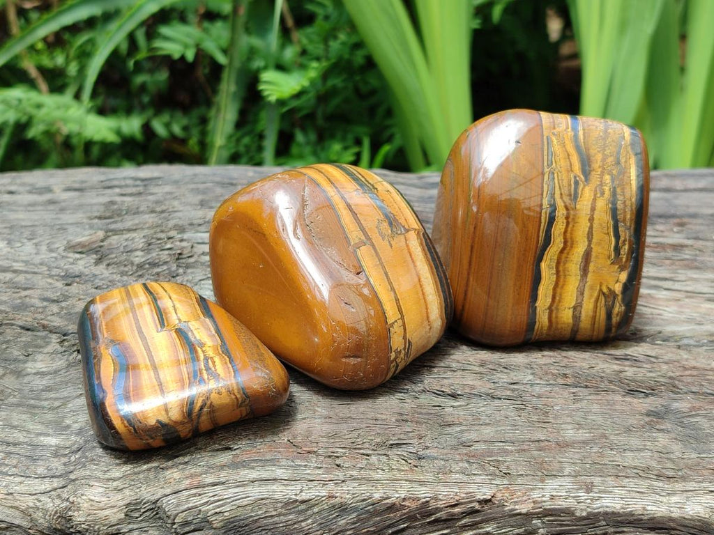 Polished Jumbo Golden Tigers Eye With Banded Iron Stone Free Forms x 6 From Prieska, South Africa