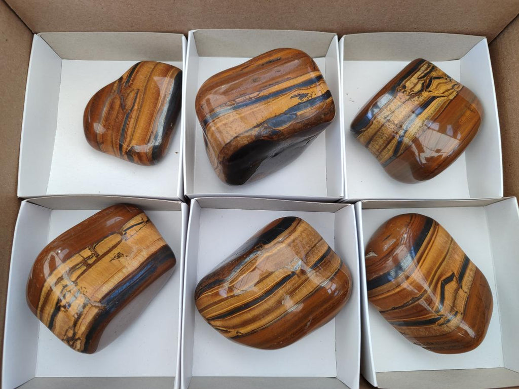 Polished Jumbo Golden Tigers Eye With Banded Iron Stone Free Forms x 6 From Prieska, South Africa