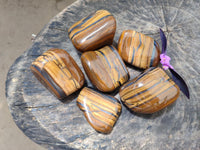 Polished Jumbo Golden Tigers Eye With Banded Iron Stone Free Forms x 6 From Prieska, South Africa