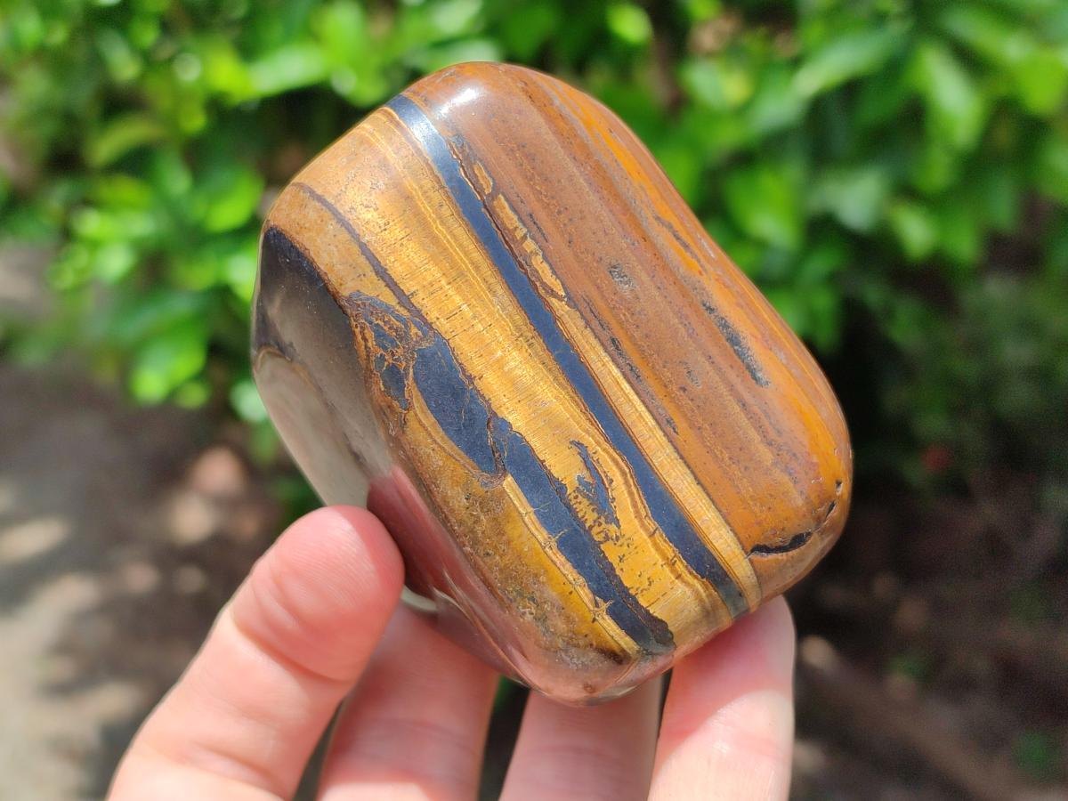 Polished Jumbo Golden Tigers Eye With Banded Iron Stone Free Forms x 6 From Prieska, South Africa
