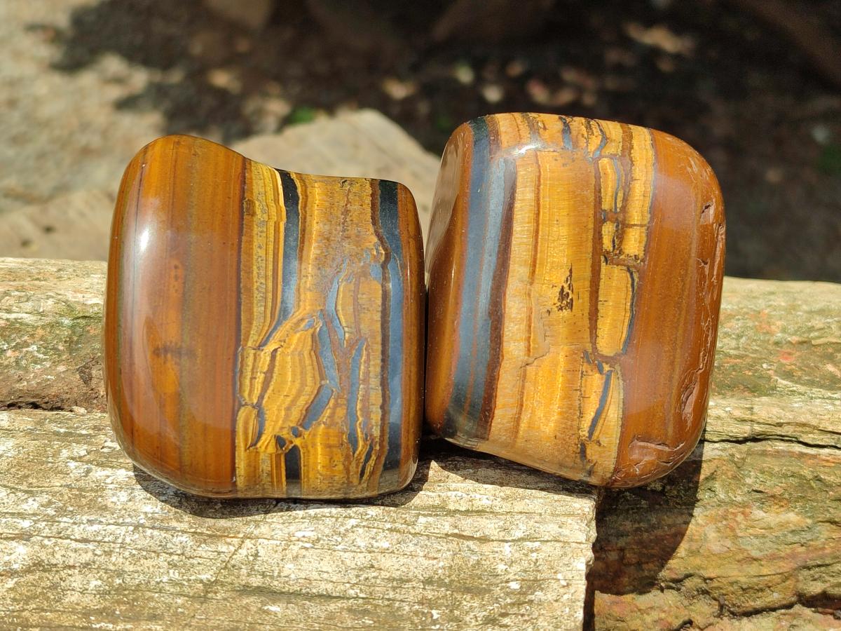 Polished Jumbo Golden Tigers Eye With Banded Iron Stone Free Forms x 6 From Prieska, South Africa