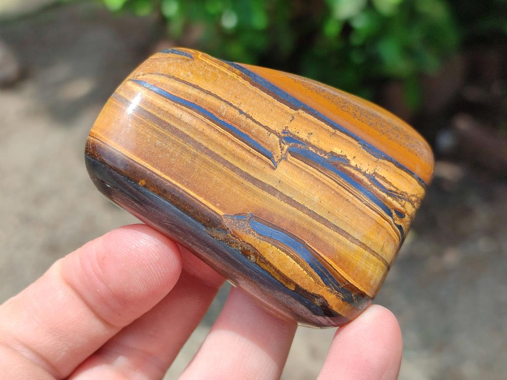 Polished Jumbo Golden Tigers Eye With Banded Iron Stone Free Forms x 6 From Prieska, South Africa