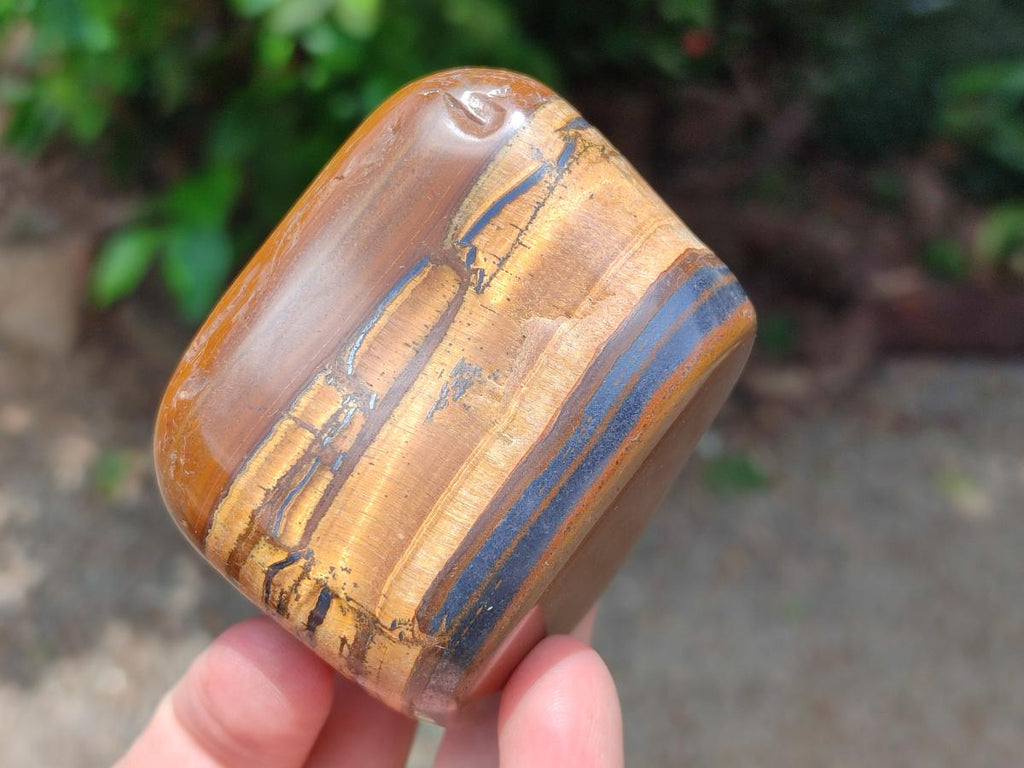 Polished Jumbo Golden Tigers Eye With Banded Iron Stone Free Forms x 6 From Prieska, South Africa