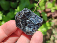 Natural Alluvial Schorl Black Tourmaline Crystals x 1.4 Kg Lot From Zimbabwe