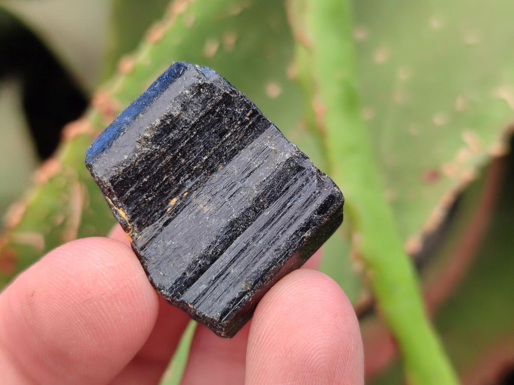 Natural Alluvial Schorl Black Tourmaline Crystals x 1.4 Kg Lot From Zimbabwe