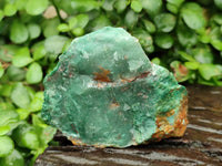 Natural Cobbed Buddstone Specimens x 12 From Swaziland