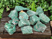 Natural Cobbed Buddstone Specimens x 12 From Swaziland