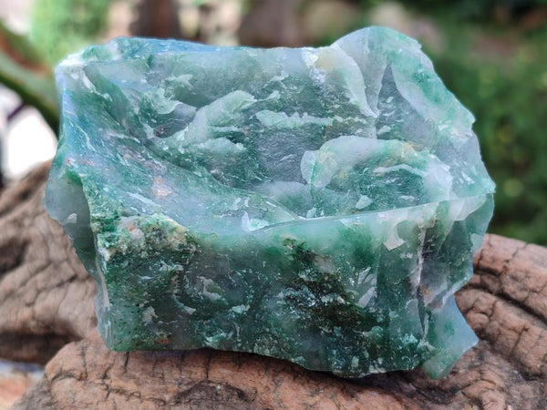 Natural Cobbed Buddstone Specimens x 12 From Swaziland