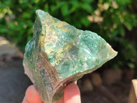 Natural Cobbed Buddstone Specimens x 12 From Swaziland