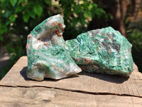 Natural Cobbed Buddstone Specimens x 12 From Swaziland