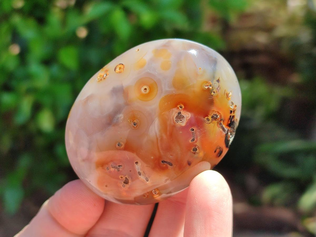 Polished Banded Agate Galets x 24 From Madagascar