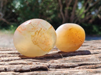 Polished Banded Agate Galets x 24 From Madagascar