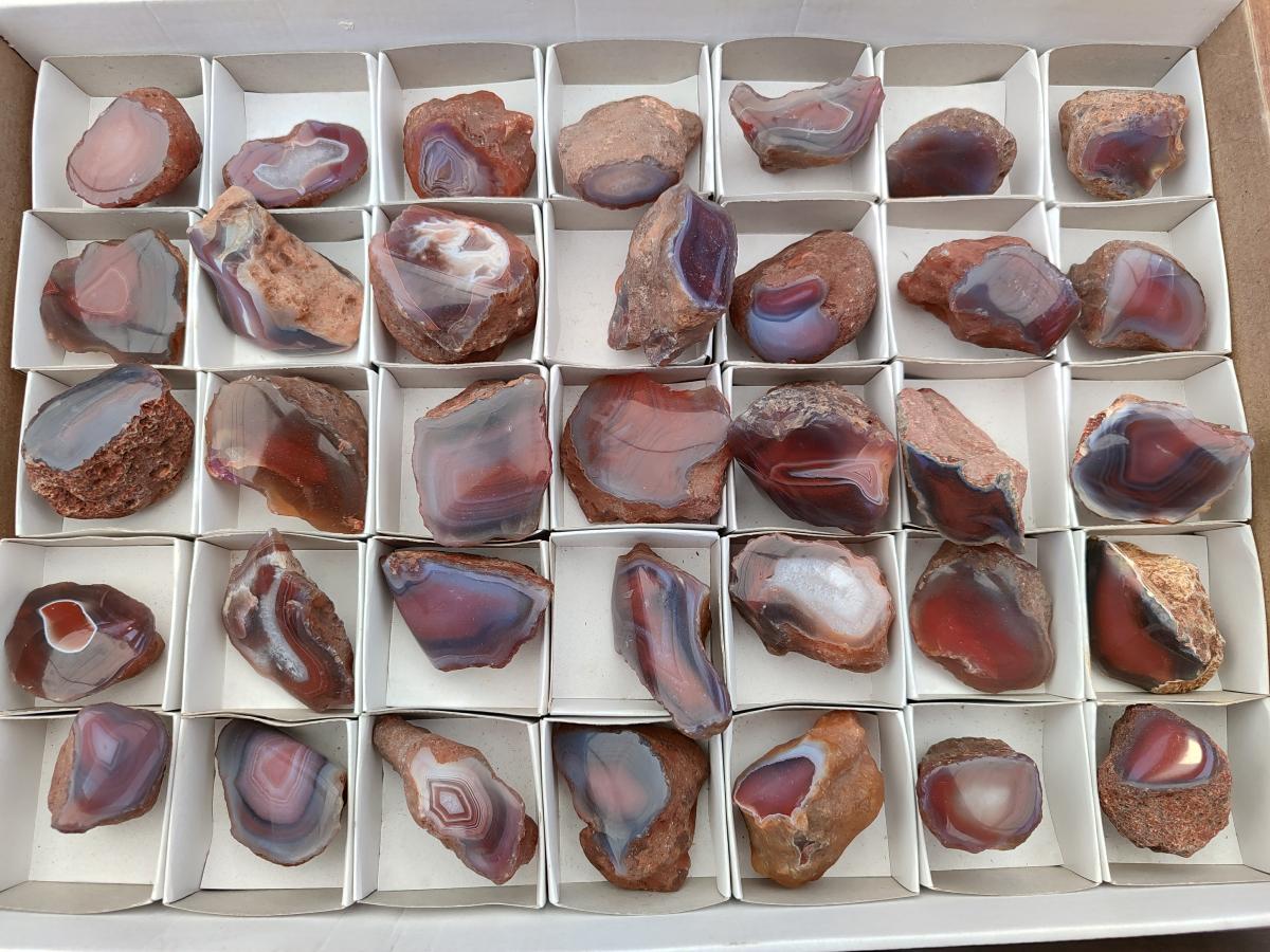 Polished On One Side Red Shashe River Agate Nodules x 35 From Shashe River, Zimbabwe