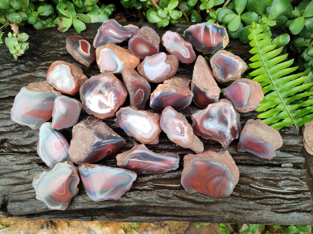 Polished On One Side Red Shashe River Agate Nodules x 35 From Shashe River, Zimbabwe