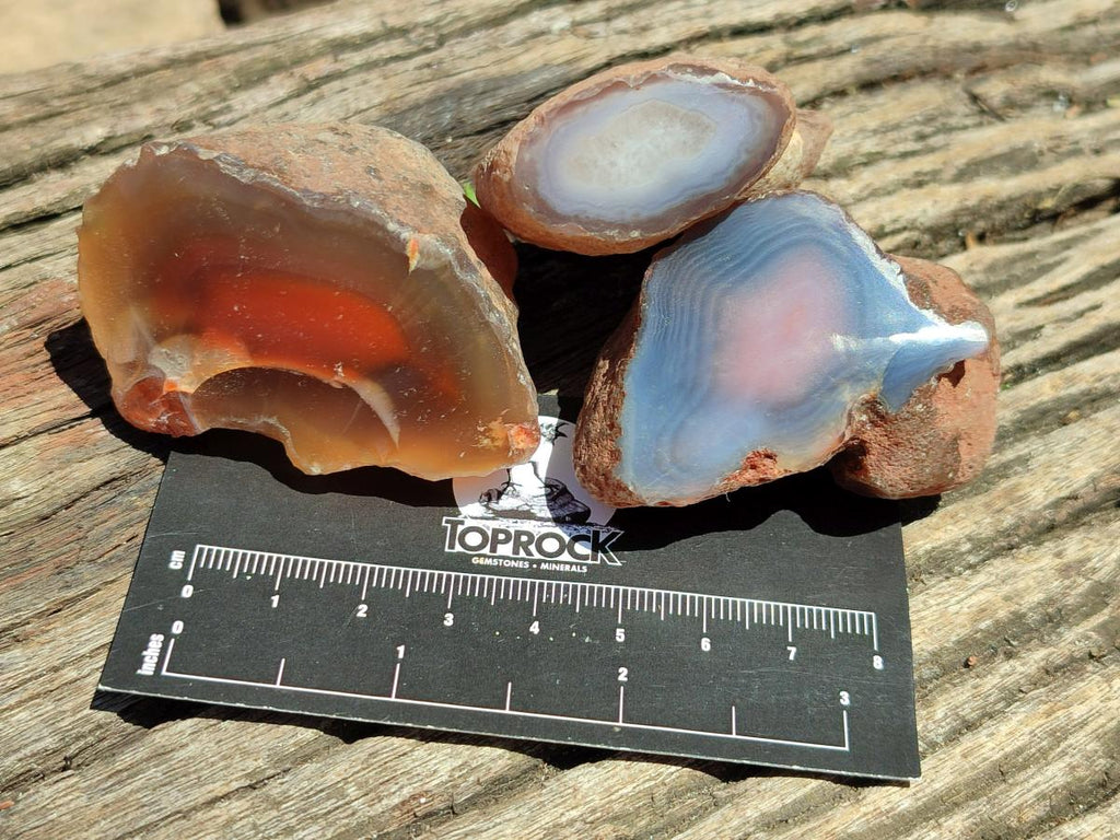 Polished On One Side Red Shashe River Agate Nodules x 35 From Shashe River, Zimbabwe
