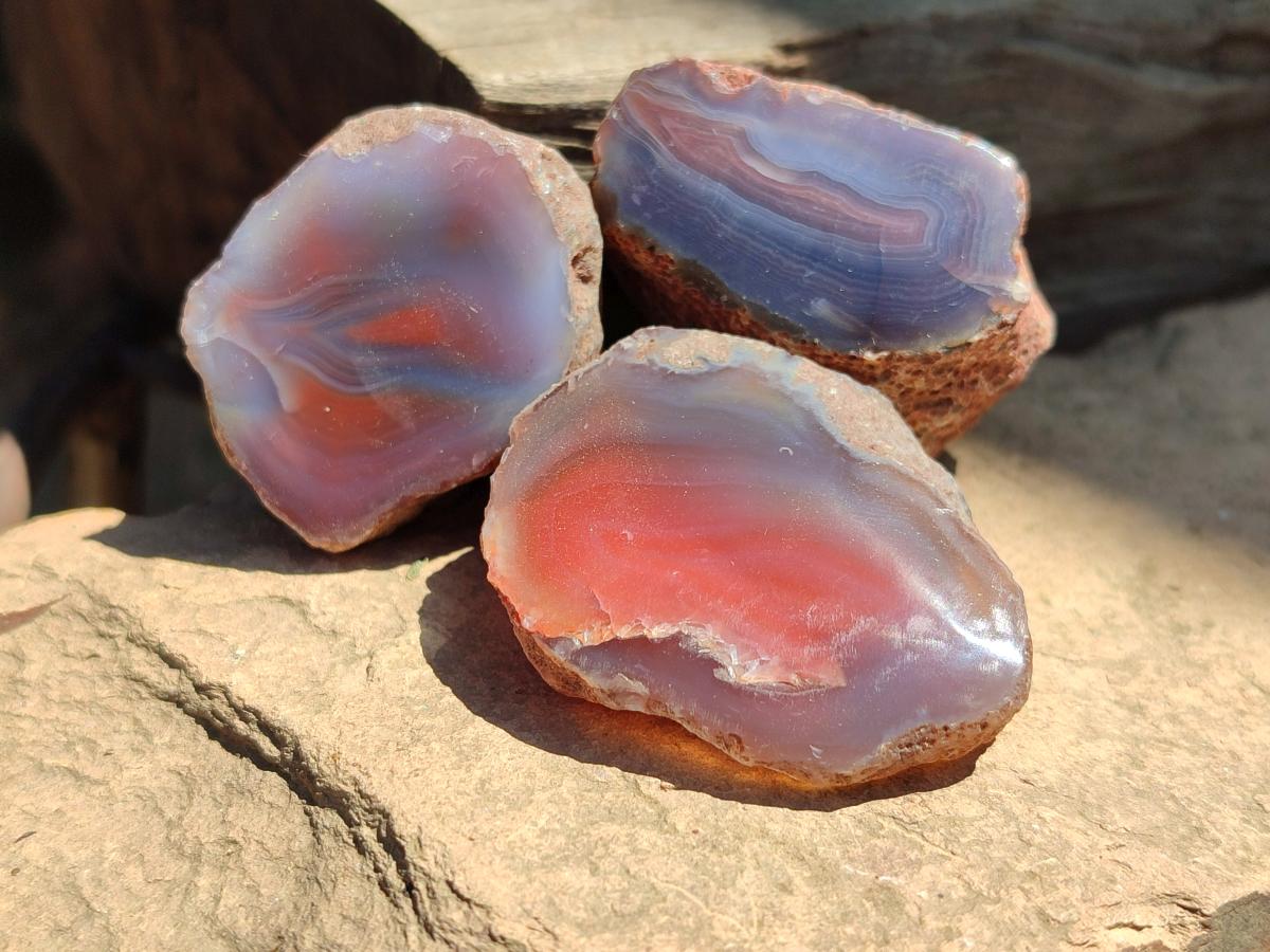 Polished On One Side Red Shashe River Agate Nodules x 35 From Shashe River, Zimbabwe