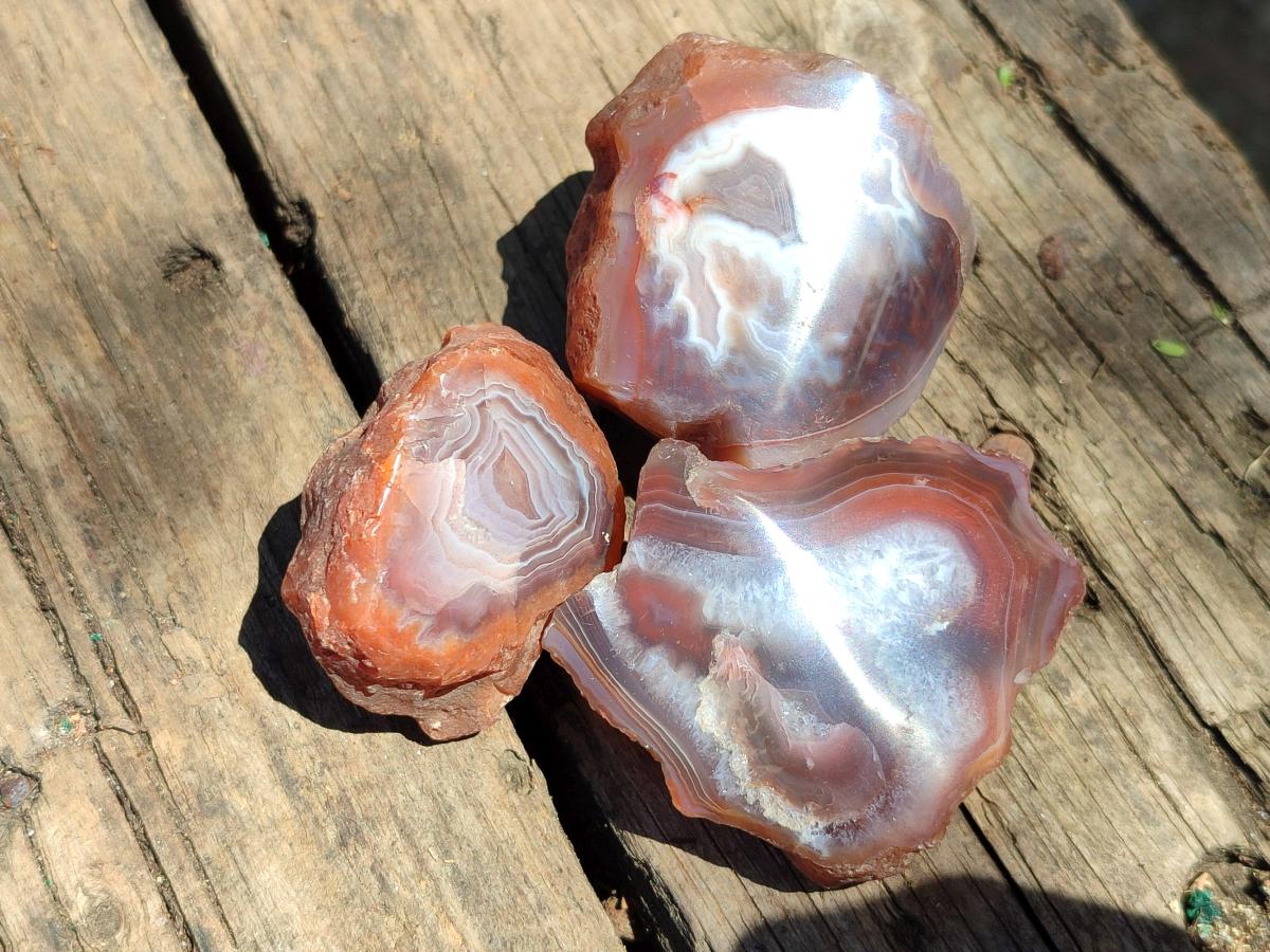 Polished On One Side Red Shashe River Agate Nodules x 35 From Shashe River, Zimbabwe
