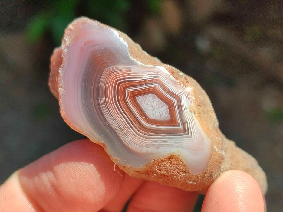 Polished On One Side Red Shashe River Agate Nodules x 35 From Shashe River, Zimbabwe