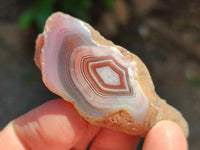 Polished On One Side Red Shashe River Agate Nodules x 35 From Shashe River, Zimbabwe