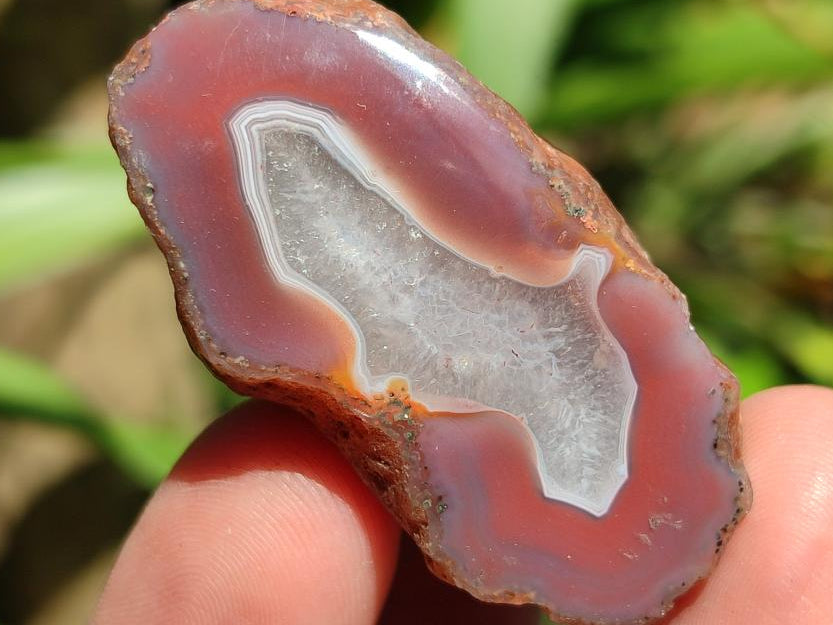 Polished On One Side Red Shashe River Agate Nodules x 35 From Shashe River, Zimbabwe