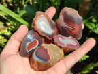 Polished On One Side Red Shashe River Agate Nodules x 35 From Shashe River, Zimbabwe