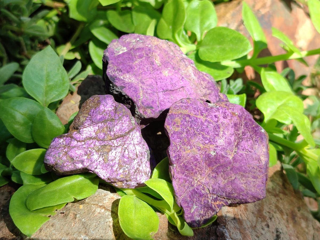 Natural Metallic Purpurite Specimens x 12 From Erongo, Namibia