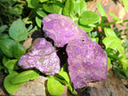 Natural Metallic Purpurite Specimens x 12 From Erongo, Namibia
