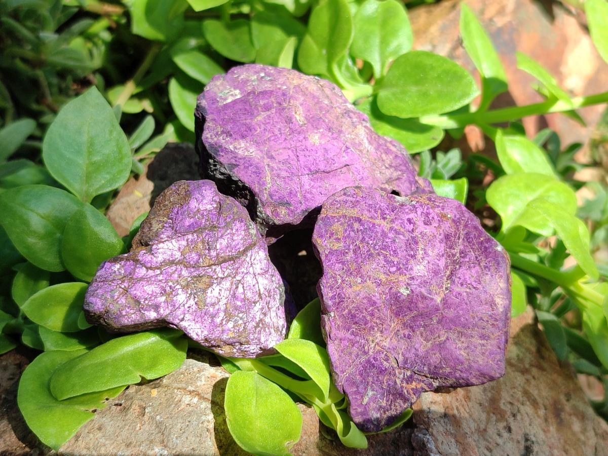 Natural Metallic Purpurite Specimens x 12 From Erongo, Namibia