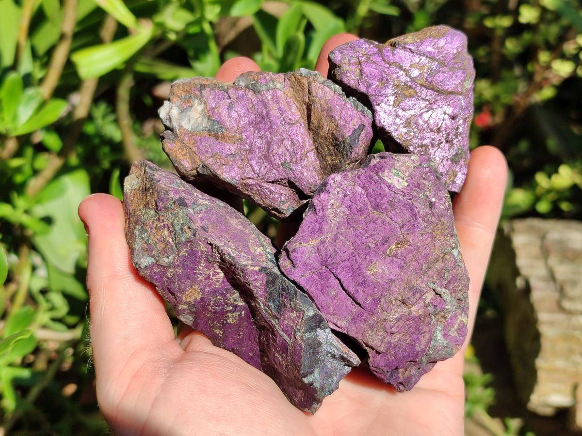 Natural Metallic Purpurite Specimens x 12 From Erongo, Namibia