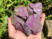 Natural Metallic Purpurite Specimens x 12 From Erongo, Namibia