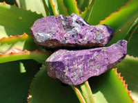 Natural Metallic Purpurite Specimens x 12 From Erongo, Namibia