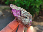 Natural Metallic Purpurite Specimens x 12 From Erongo, Namibia