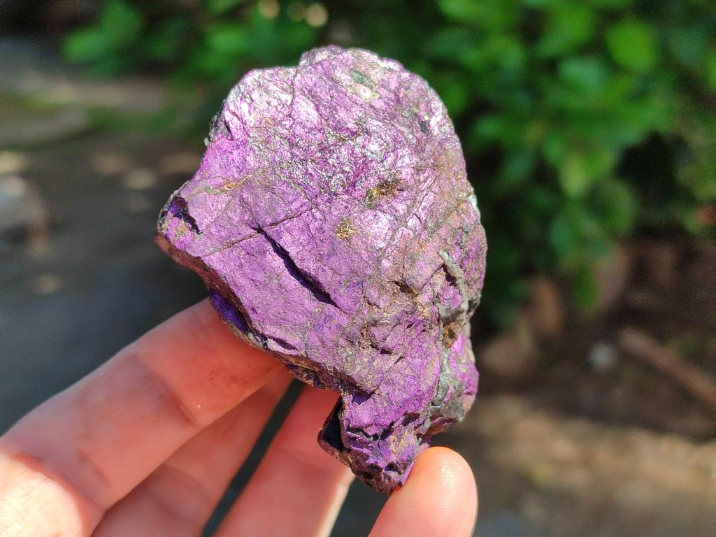 Natural Metallic Purpurite Specimens x 12 From Erongo, Namibia