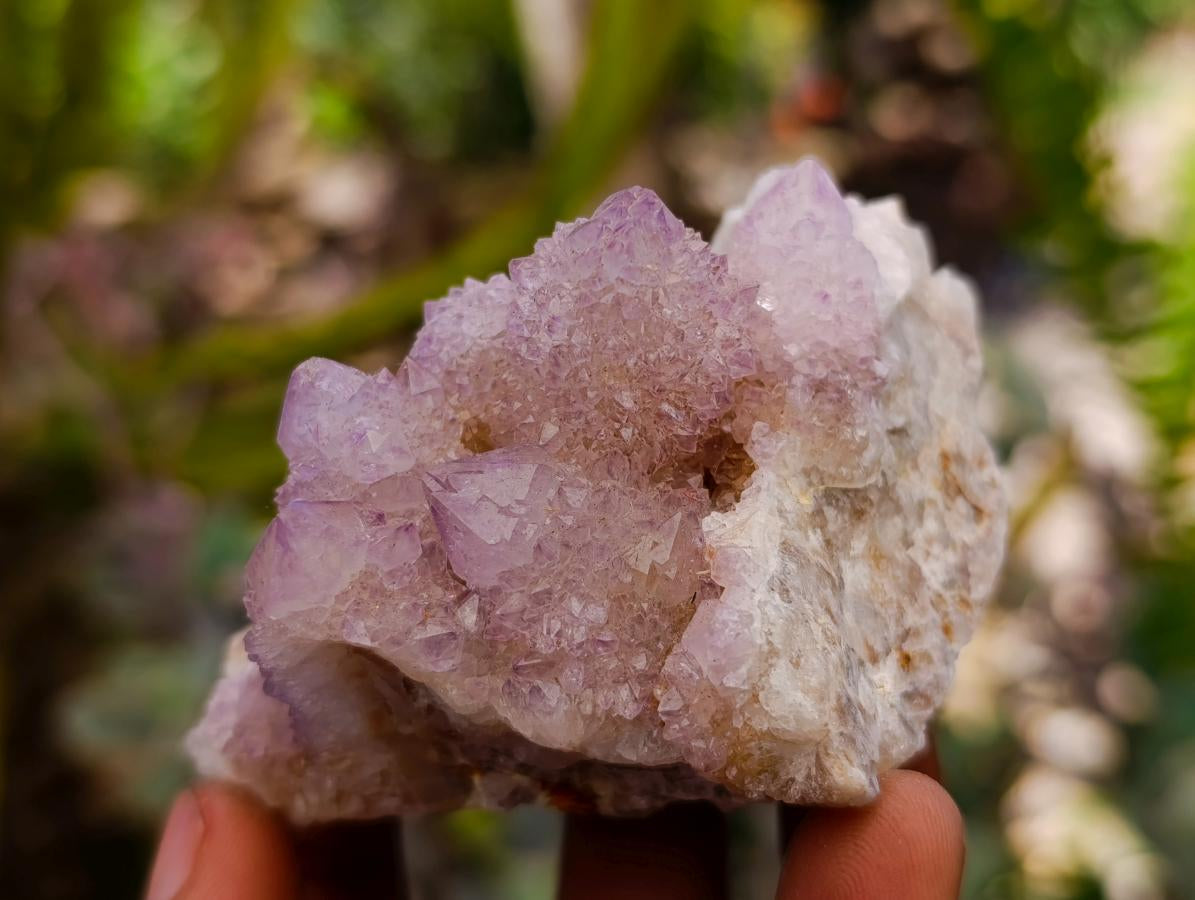 Natural Drusy Amethyst and Ametrine Spirit Clusters x 6 From Boekenhouthoek, South Africa