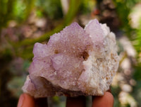 Natural Drusy Amethyst and Ametrine Spirit Clusters x 6 From Boekenhouthoek, South Africa